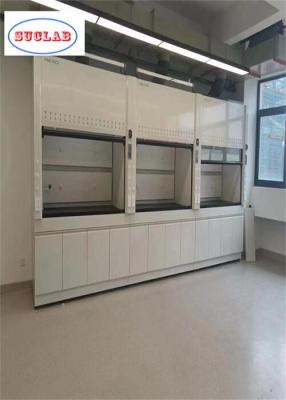 China Activated Carbon Filter System Laboratory Fume Hood for Sale with Customized Features for sale