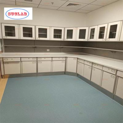 China 110 Degree Hinge and Stainless Steel Handle  Hospital Disposal Cabinet Materials for Hospital Furniture for sale
