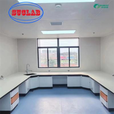 China Custom Chemistry Lab Bench With Cabinet DTC Hinges And Phenolic Countertop Te koop