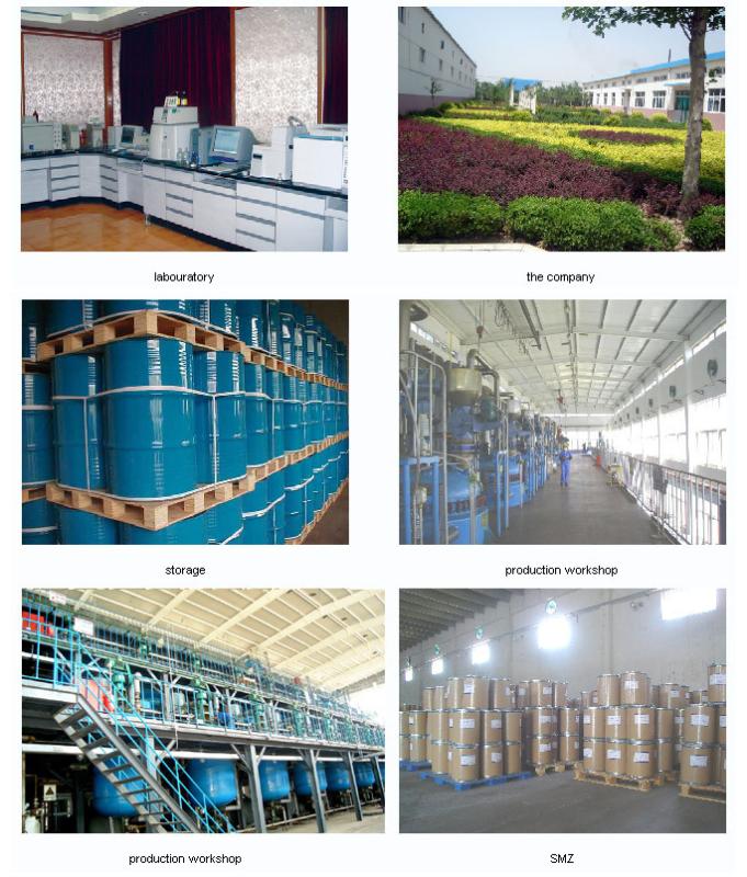 Verified China supplier - Changzhou Truly Foreign Trade Co.,LTD