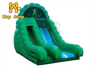China Outdoor Children Wet Dry Slide Inflatable Giant Size Customized for sale