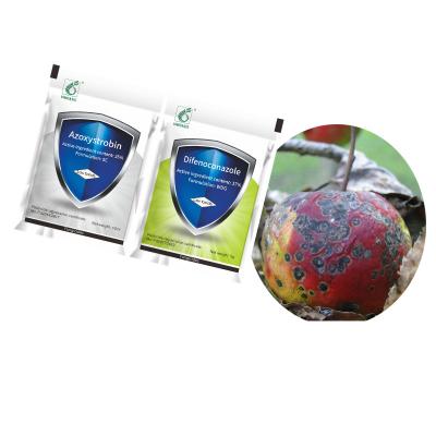 China Fungal Disease Treatment Control Rice Blast 37% Difenoconazole 25% Azoxystrobin Fungicide for sale