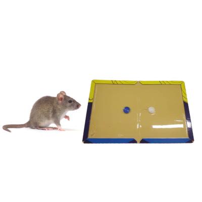 China Non Toxic Harmless Super Sticky Mouse Trap Board Catch Rat Home Kitchen Restaurant for sale