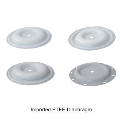 China Ptfe Coated Diaphragm PTFE 3 Inch Diaphragm Pump Parts for sale