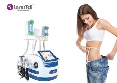 China Slimming Touch Screen Portable Cryolipolysis Machine Ce Certification for sale