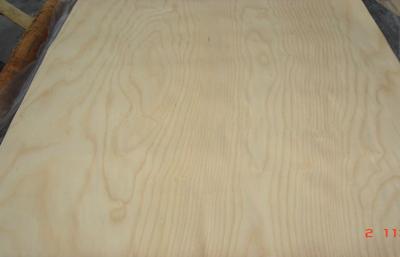 China Light Yellow Nature Rotary Cut Anegre Veneer For Furniture for sale