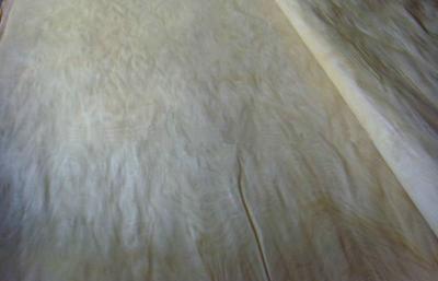 China Materiales rotatorios blancos como la leche naturales del arce de la chapa del corte para la madera contrachapada en venta