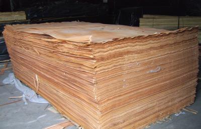 China Folheado de madeira do corte giratório amarelo natural de Okoume para a superfície da mobília à venda