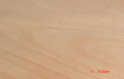 China Rotary Cut Natural Okoume Veneer Yellow For Furniture for sale