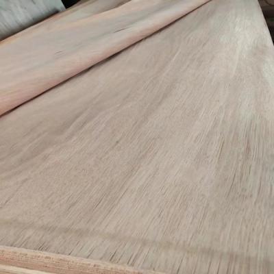 China Natural Wood Rotary Cut PLB Veneer Sheet With 0.15-0.3mm For Plywood for sale