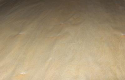 China Crown Cut Birch Wood Veneer Golden With 0.5mm Thickness For Wall Panels for sale