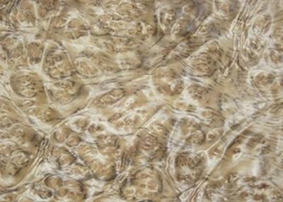 China 0.5 mm Mappa Burl Wood Veneer , Nardwood Thin Wood Veneer Sheets for sale