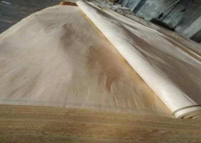 China Una chapa rotatoria de madera de abedul blanco del corte del grado cubre 0.18m m 0.22m m en venta