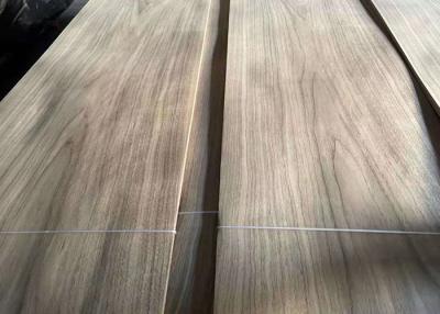 China 10 - 16% MC Crown Cut Natural Walnut Plywood Sheets for sale