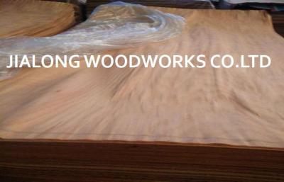 中国 Gurjan の木製の回転式切口の合板のための自然な表面ベニヤ シート 販売のため