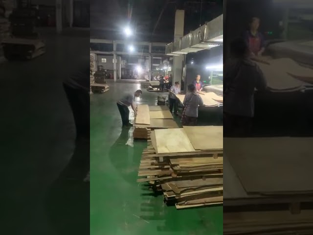 Jialong Woodworks Co,.Ltd Factory Introduction Video