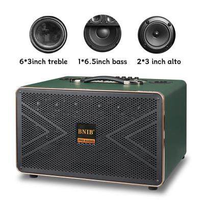 China 11KG Outdoor Portable Karaoke Party Speaker Bluetooth With 2 Mic for sale