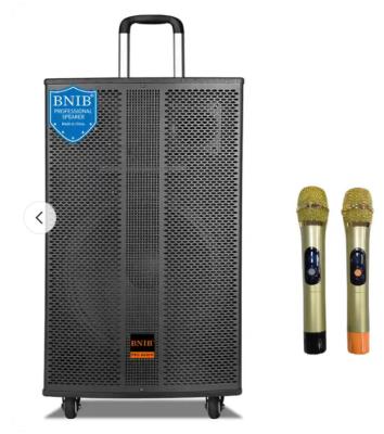 China Portable Karaoke Bluetooth Speaker Subwoofer Sound Box Trolley Speaker 12 Inch for sale