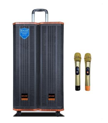 China Wooden 80W Portable Trolley Speaker Customized 12V / 7Ah Battery With 2 Mic for sale