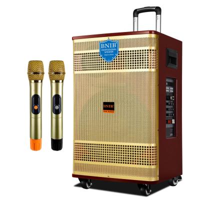 China Custom Wooden Portable Trolley Speaker Audio Sound System With Microphone for sale