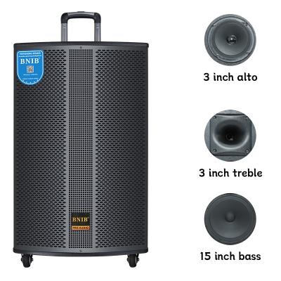 China Rechargeable Super Bass Wireless Speaker 15 Inch Wooden Trolley Party Speaker for sale