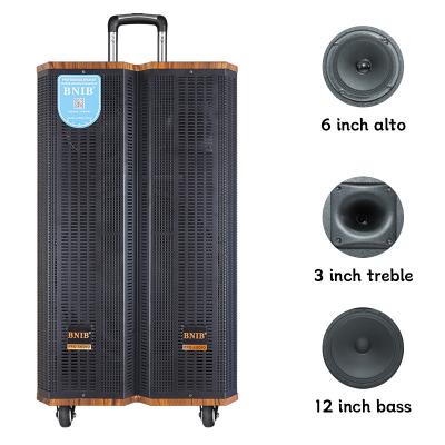 China 12 Inch Super Bass Portable Trolley Speaker Subwoofer Rechargeable With Wireless Mic for sale
