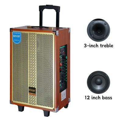 China 12V / 4.5Ah Rechargeable Portable Trolley Speaker Bluetooth 4.2 Trolley Box Speaker for sale