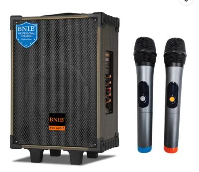 China OEM Portable Wooden Karaoke Party Speaker Dj Sound System Guitar Input for sale