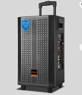 China Big Power Wireless Outdoor Portátil alto-falante 1000W ativo Karaoke Trolley caixa de alto-falante à venda
