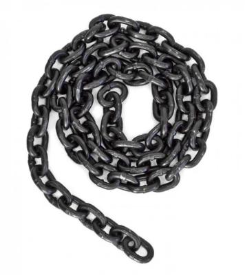 China 36mm Lifting Chain Sling ,  Alloy Steel Single Leg Chain Sling for sale