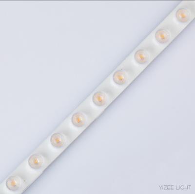 China RGB LED Wall Washer Lens Strip Dimmable Outdoor Led Lights With Lens for sale