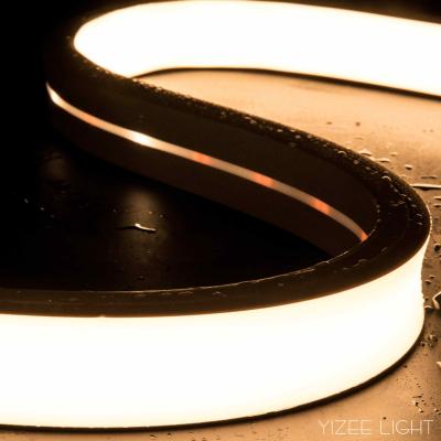 China 12*20mm IP67 Silicone Neon Strip 24V 5M Side Bend LED Neon Flex for sale