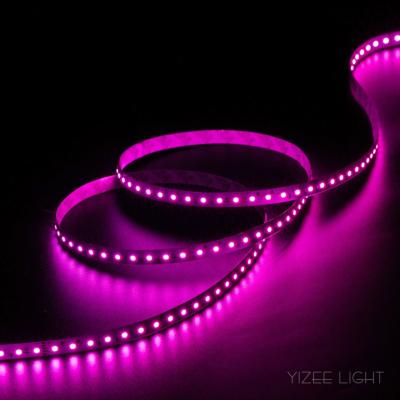 China 15M RGB LED Streifen 48V RGBW Led Streifenleuchten Farbwechselbandleuchten zu verkaufen