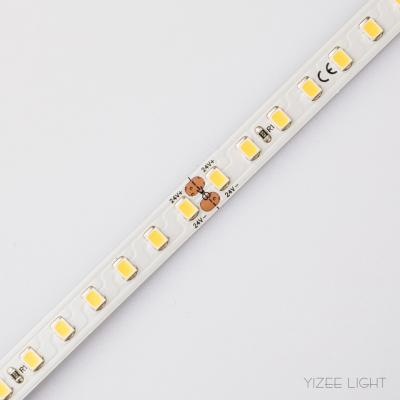 China 10mm 207lm/W High Efficiency LED Strip 9.6w/M Flexible 24v Led Strip Lights for sale