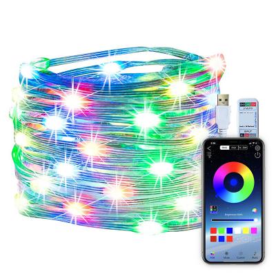 Chine Contrôle intelligent Des lumières de fées colorées RGBIC 5m 10m 20m Lumière à cordes intérieure à vendre