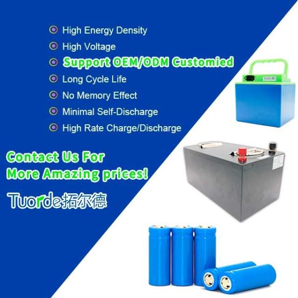 Quality E Bus Lithium Ion LiFePo4 Battery 40V 58.8V 100ah Prismatic TRD-48100 for sale