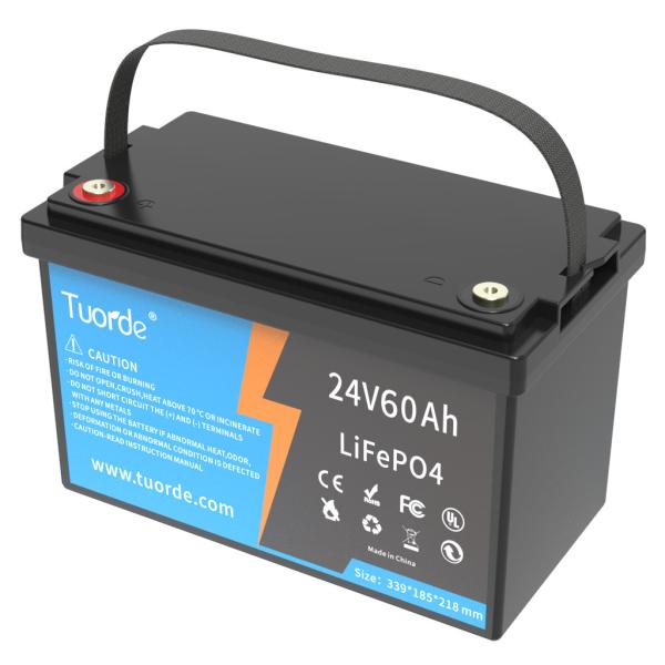 Quality Safety Lead Acid Replacement Battery 24V 60Ah Deep Cycle Power Storage Type for sale