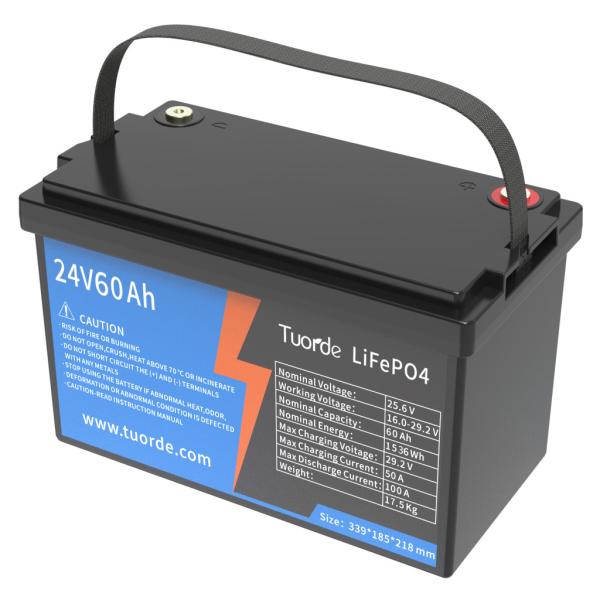Quality Safety Lead Acid Replacement Battery 24V 60Ah Deep Cycle Power Storage Type for sale