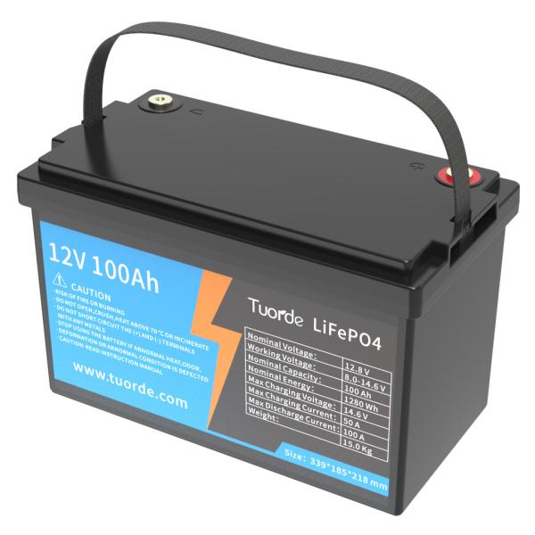 Quality Lithium Deep Cycle Battery , 12V 100Ah AGV Lithium Ion Battery E-RICKSHAW battery Solar battery for sale