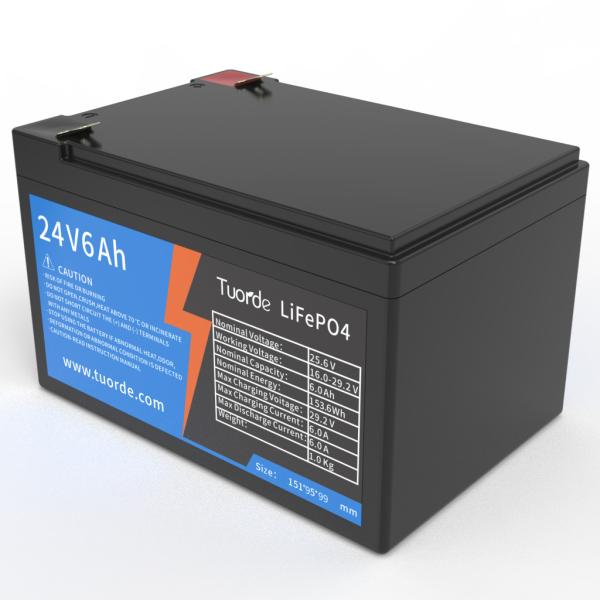 Quality 24V 6Ah Lithium Ion Deep Cycle Battery , Rechargeable AGV Lithium Battery for sale