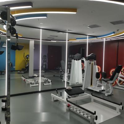 China Gym Large Frameless Glass Mirrors Rough Edge For Dancing Room for sale