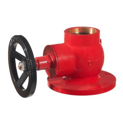 China hot sale globle hydrant valve 2.5