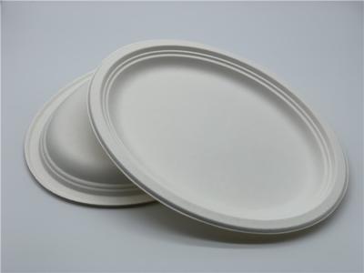 China 10/12 inch Biodegradable Sugarcane Bagasse Plates for sale