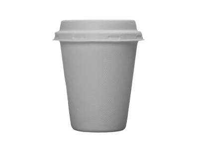 China Sugarcane Bagasse 8 Ounces 8g Biodegradable Cups And Lids for sale