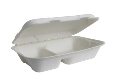China Natural 35g Clamshell 22.5×12.5×5.5cm Biodegradable Salad Boxes for sale