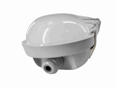 中国 蒸気堅いLED照明設備防水IP65 LEDの三証拠ライト蒸気証拠によって導かれるライトIP65防水導かれたライト 販売のため