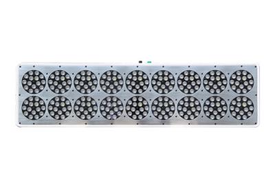 China High Lumen ETL Listed LED Indoor Grow Lights For Greenhouse Planting -20℃ - 40℃ for sale