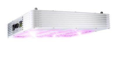China 420W LED grow panel, full spectrum , Vegetative light, blooming light for sale
