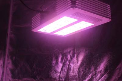中国 3W Osram Ledsの完全なスペクトルは電球210Wattの導かれた植物ライトを育てます 販売のため