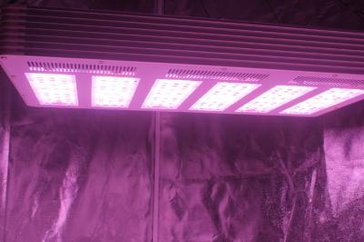 中国 植物成長のための完全なスペクトルの1.5g/watt 630W LEDの成長するライト 販売のため